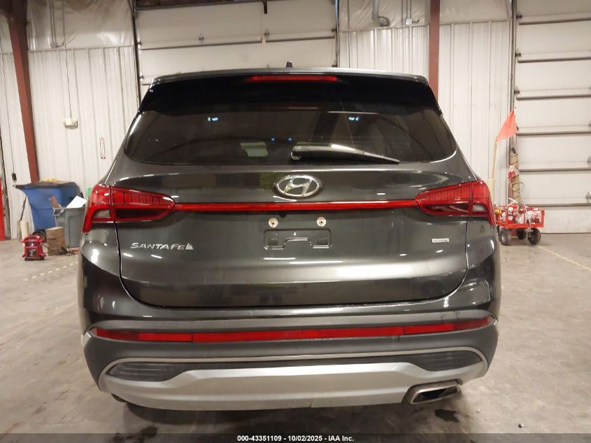 2023 Hyundai Santa Fe Sel VIN: 5NMS3DAJ6PH531034 Lot: 43351109