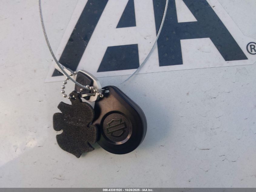 2019 Harley-Davidson Fxbrs VIN: 1HD1YHK25KB066527 Lot: 43351920