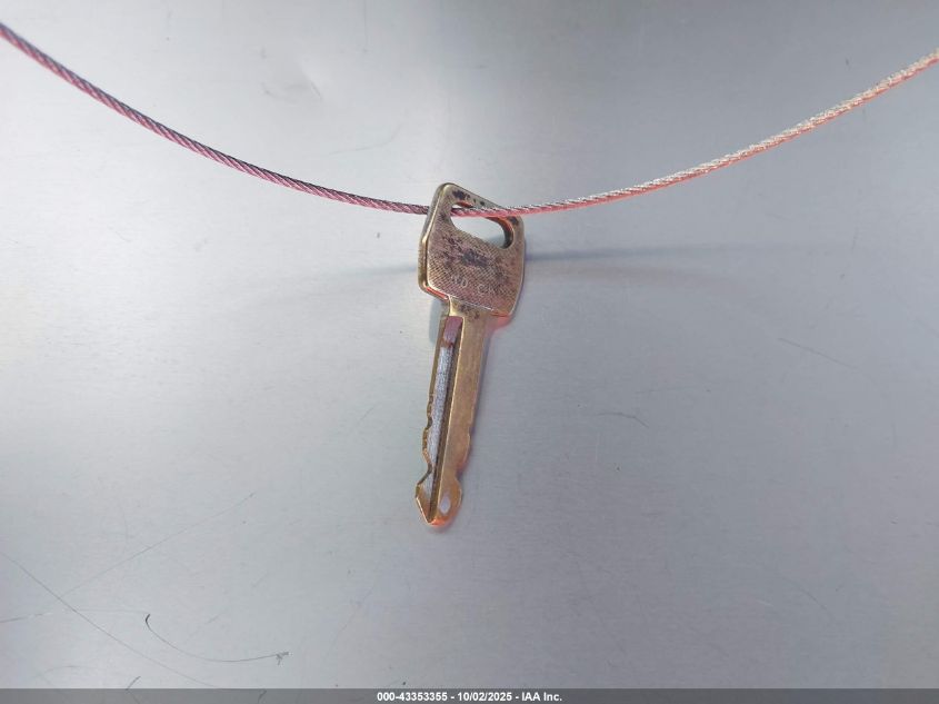 1989 Ford F150 VIN: 1FTEF14N5KNA55131 Lot: 43353355