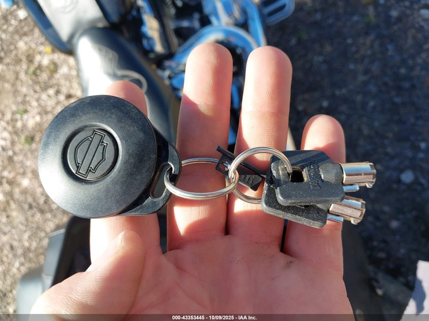 2007 Harley-Davidson Flstf VIN: 1HD1BX5107Y021966 Lot: 43353445