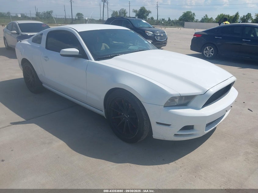 2014 FORD MUSTANG V6 - 1ZVBP8AM5E5315162