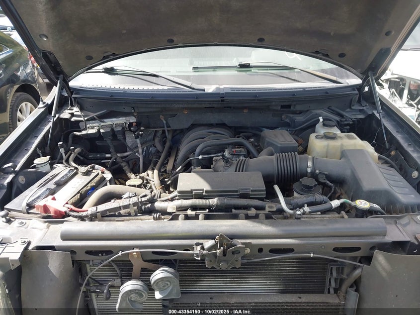 2010 Ford F-150 Xl/Xlt VIN: 1FTFW1E80AFD59778 Lot: 43354150