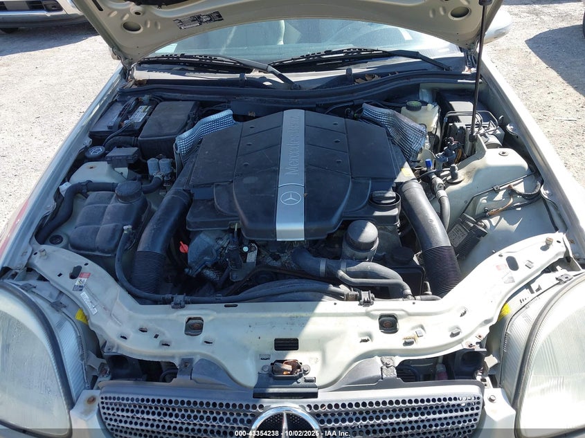 2002 Mercedes-Benz Slk 320 VIN: WDBKK65F22F255489 Lot: 43354238