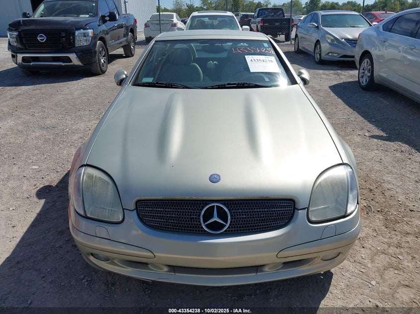 2002 Mercedes-Benz Slk 320 VIN: WDBKK65F22F255489 Lot: 43354238