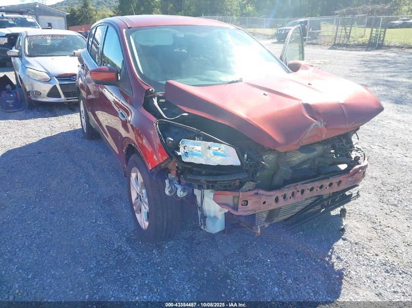 2014 Ford Escape Se VIN: 1FMCU0GX6EUD10282 Lot: 43354487