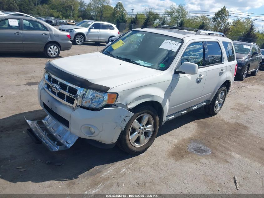 2010 Ford Escape Limited VIN: 1FMCU0EG5AKC61195 Lot: 43355714