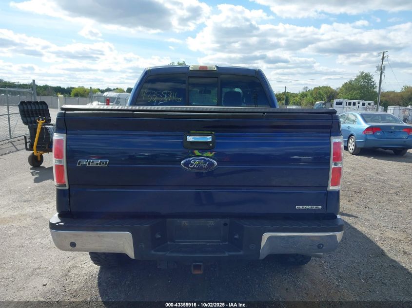 2011 Ford F-150 Xlt VIN: 1FTFW1EF0BFA61053 Lot: 43355916