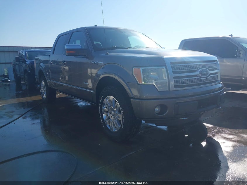 FORD F-150 PLATINUM