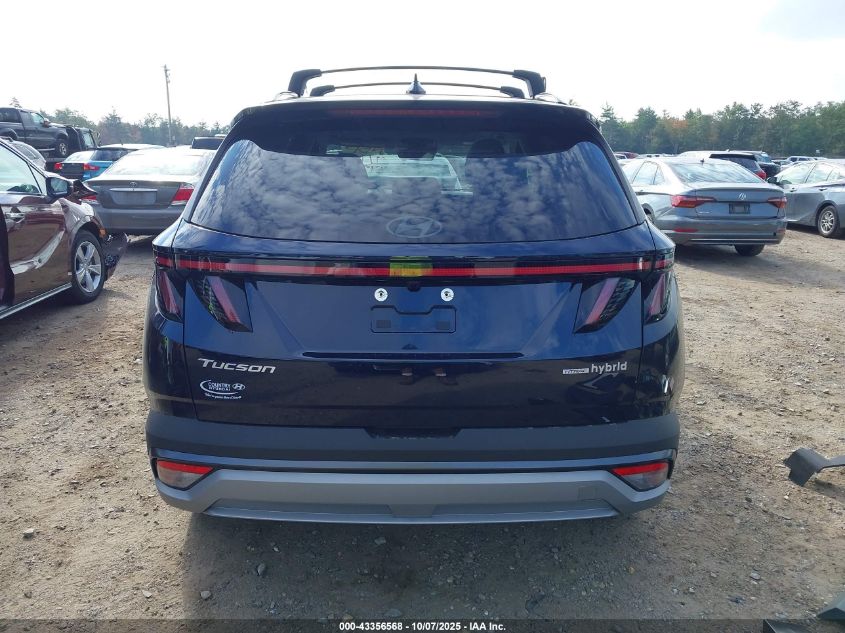 2025 Hyundai Tucson Hybrid Sel Convenience VIN: KM8JCDD17SU379527 Lot: 43356568