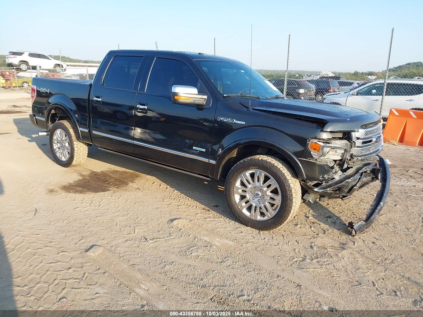 FORD F-150 PLATINUM