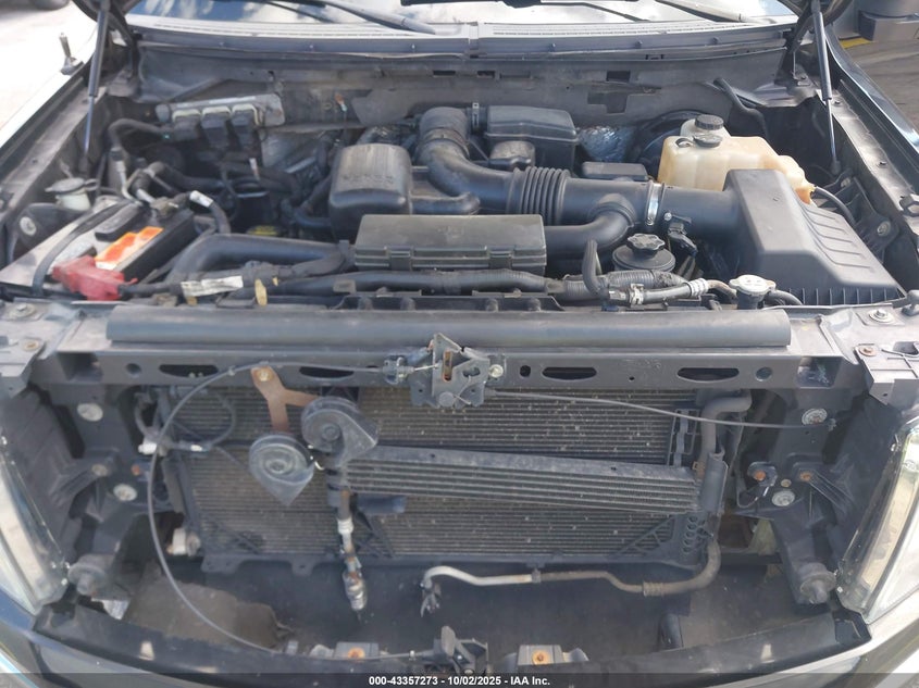 2009 Ford F-150 Fx4/King Ranch/Lariat/Platinum/Xl/Xlt VIN: 1FTPW14V49FB48770 Lot: 43357273