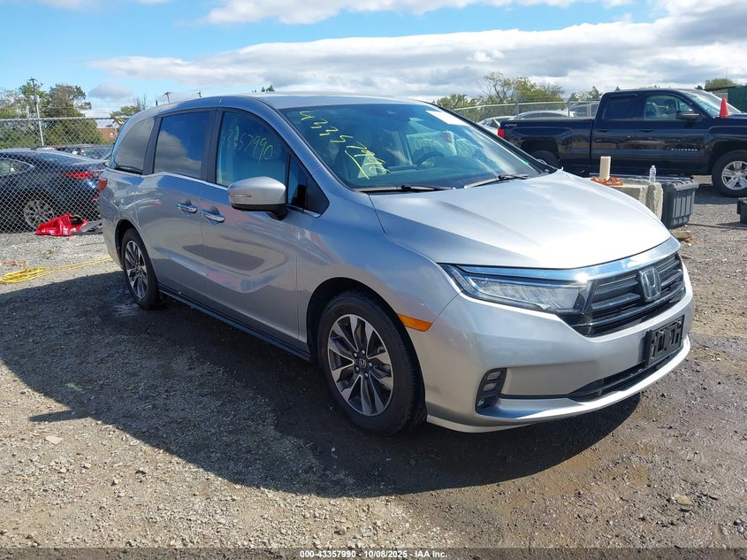 5FNRL6H61RB030276 2024 Honda Odyssey Ex-L auction photo 1