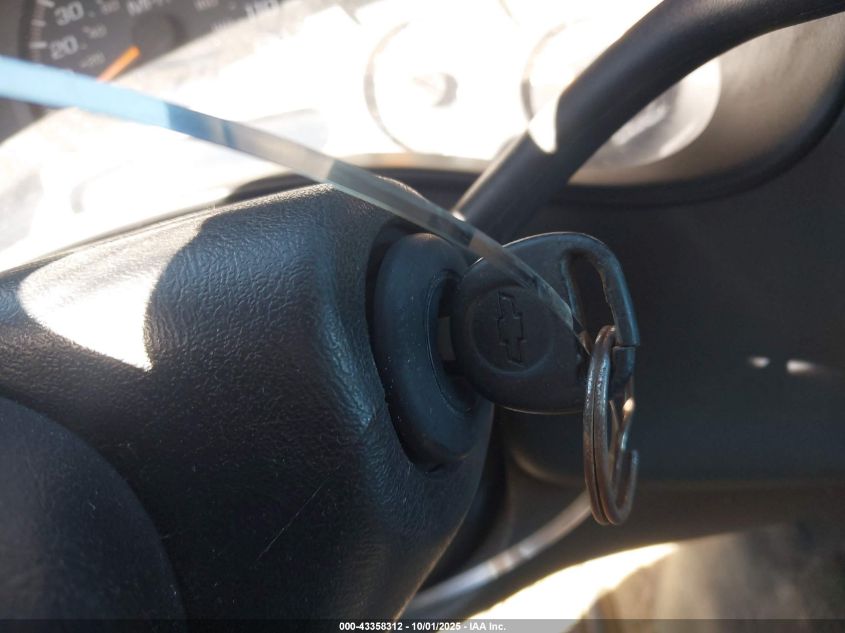 2004 Chevrolet Silverado 1500 Ls VIN: 2GCEC19T141232116 Lot: 43358312