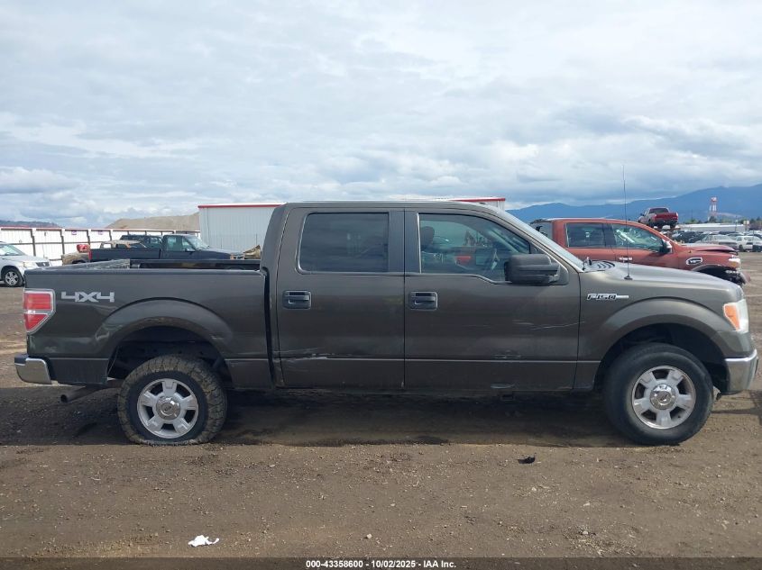 2009 Ford F-150 Xl/Xlt VIN: 1FTRW14899FA65984 Lot: 43358600