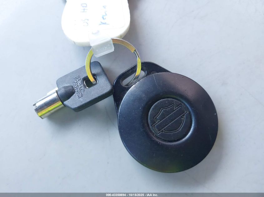 2005 Harley-Davidson Flstci VIN: 1HD1BWB1X5Y062973 Lot: 43358694