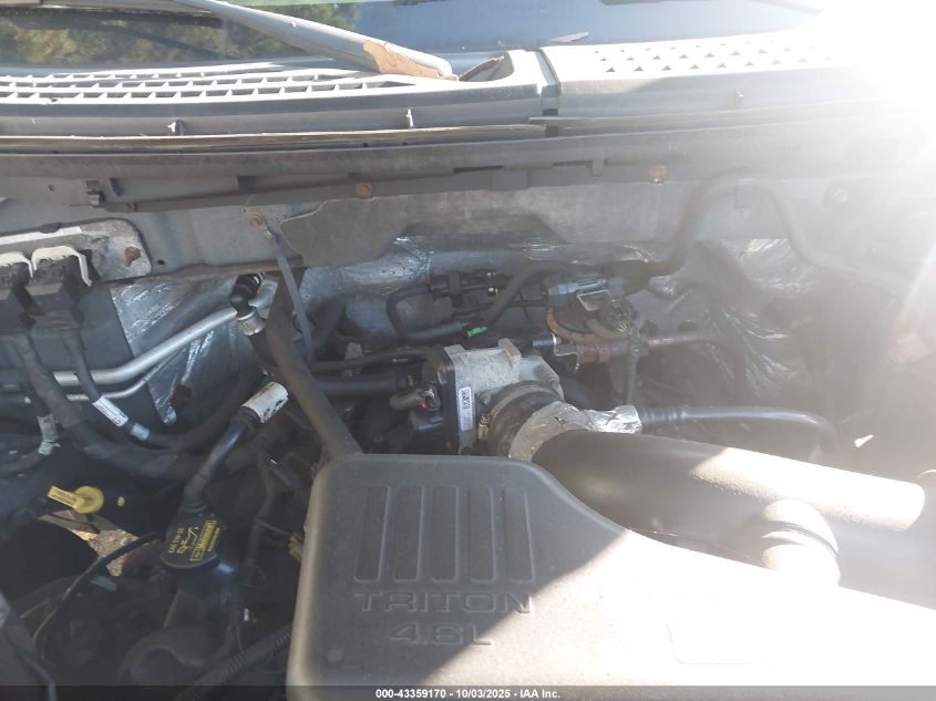 2010 Ford F-150 Stx/Xl VIN: 1FTEX1EW5AFC41880 Lot: 43359170