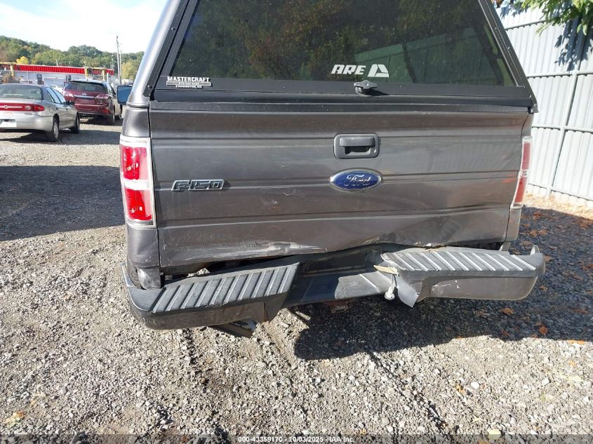 2010 Ford F-150 Stx/Xl VIN: 1FTEX1EW5AFC41880 Lot: 43359170