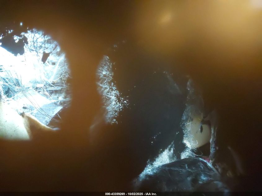 2007 Chevrolet Tahoe Lt VIN: 1GNFK13067J311384 Lot: 43359269