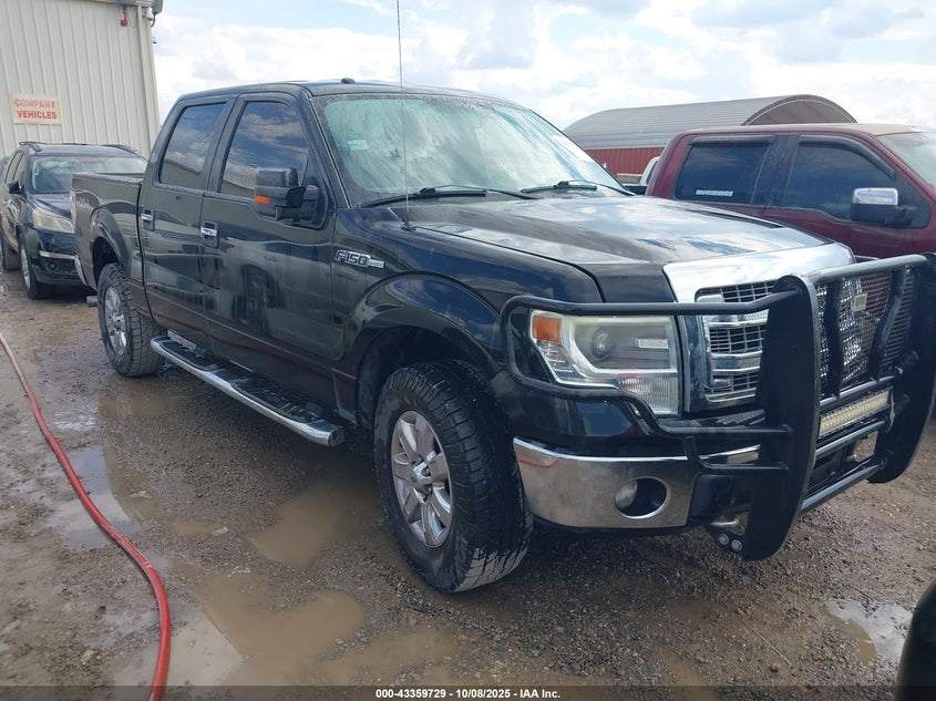 FORD F-150 XLT