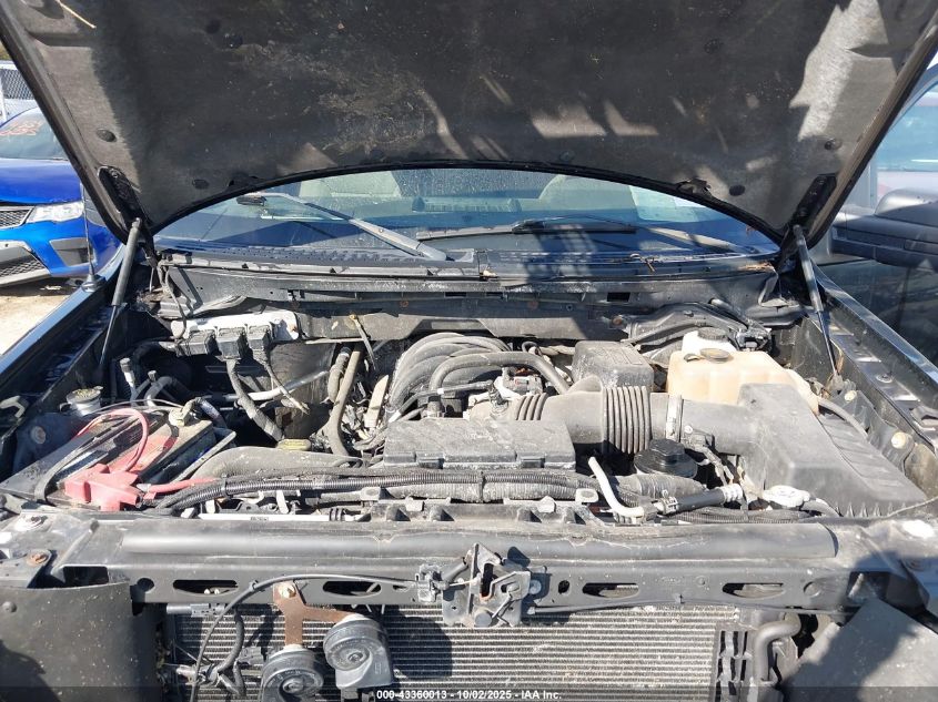 2010 Ford F-150 Stx/Xl/Xlt VIN: 1FTEX1E88AFD63909 Lot: 43360013