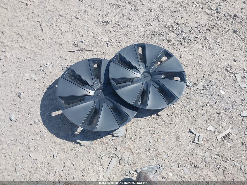 2024 Tesla Model 3 Long Range Dual Motor All-Wheel Drive/Rear-Wheel Drive VIN: 5YJ3E1EA5RF773020 Lot: 43360020