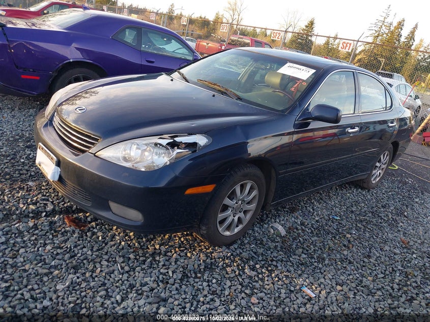 2003 Lexus Es 300 JTHBF30G236002046 photo #3