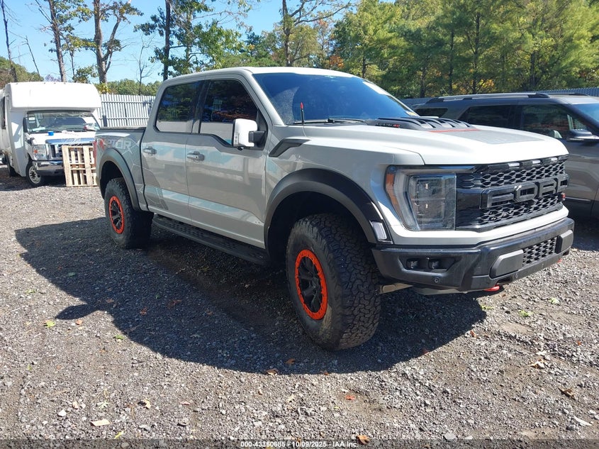 FORD F-150 RAPTOR