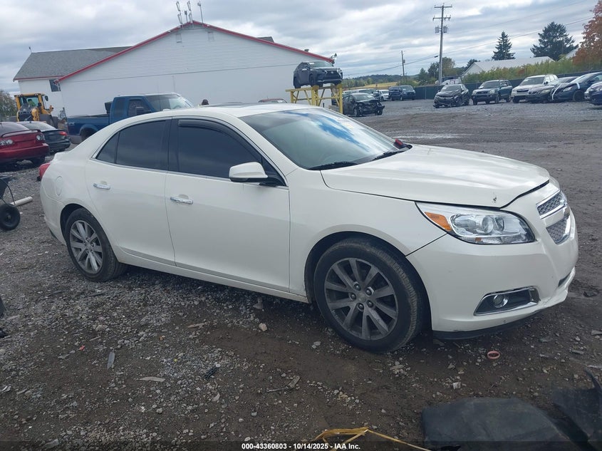 CHEVROLET MALIBU 1LZ