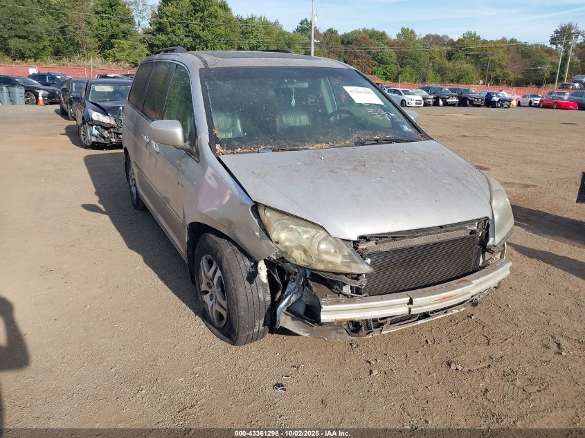 2006 Honda Odyssey Ex-L VIN: 5FNRL38716B438764 Lot: 43361298
