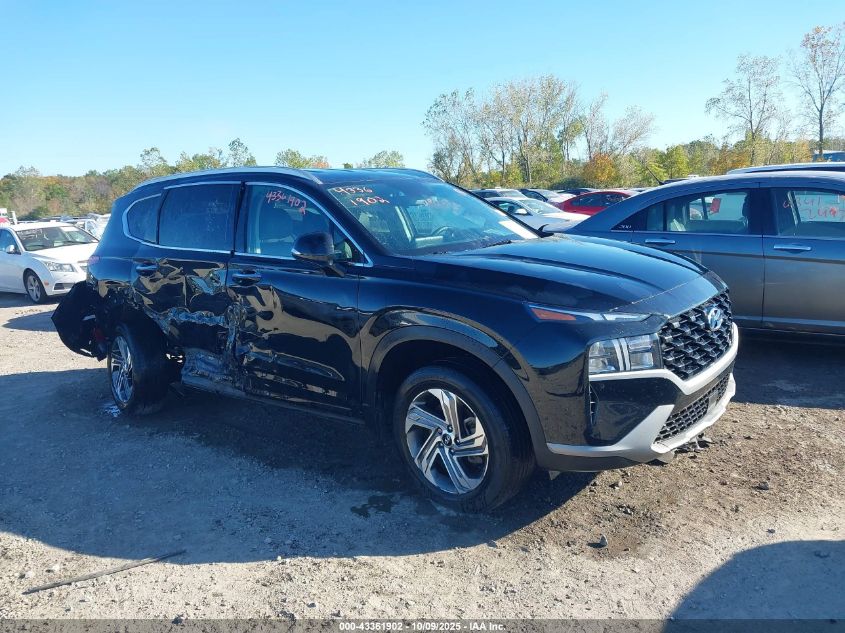 2023 Hyundai Santa Fe Sel VIN: 5NMS2DAJ5PH631208 Lot: 43361902