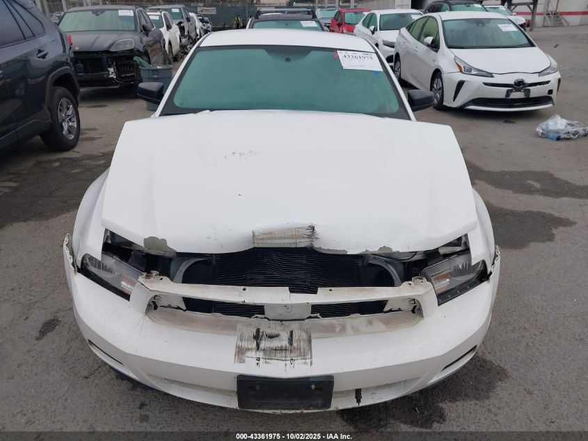 2010 Ford Mustang V6/V6 Premium VIN: 1ZVBP8AN5A5146148 Lot: 43361975