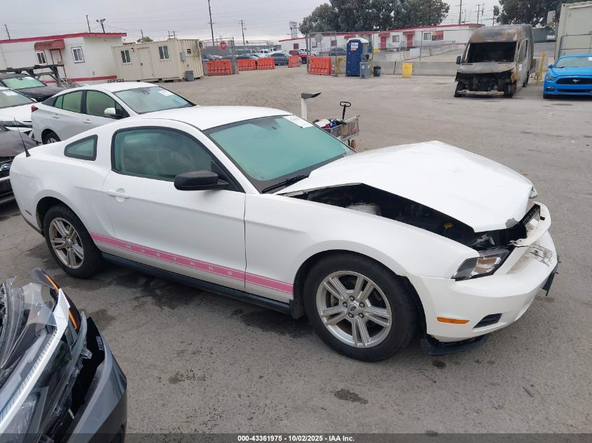 2010 Ford Mustang V6/V6 Premium VIN: 1ZVBP8AN5A5146148 Lot: 43361975