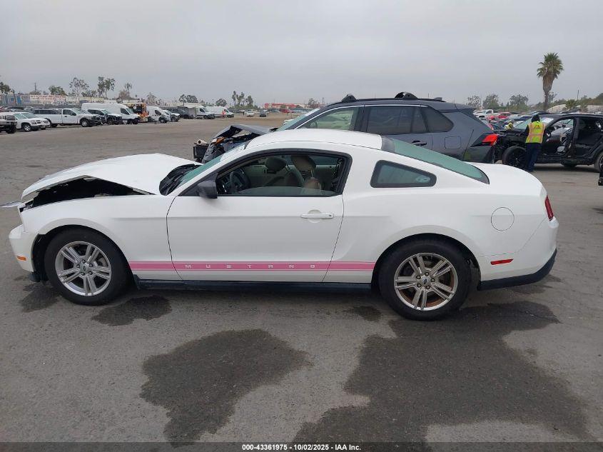 2010 Ford Mustang V6/V6 Premium VIN: 1ZVBP8AN5A5146148 Lot: 43361975