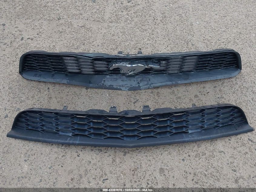 2010 Ford Mustang V6/V6 Premium VIN: 1ZVBP8AN5A5146148 Lot: 43361975