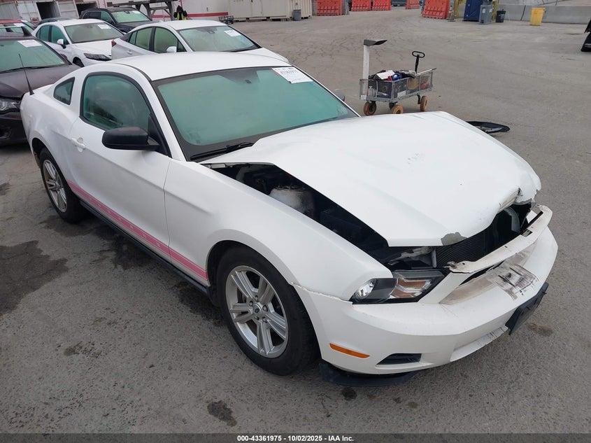 1ZVBP8AN5A5146148 2010 Ford Mustang V6/V6 Premium auction photo 1