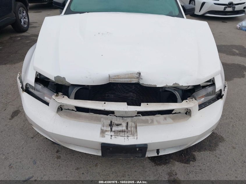 2010 Ford Mustang V6/V6 Premium VIN: 1ZVBP8AN5A5146148 Lot: 43361975