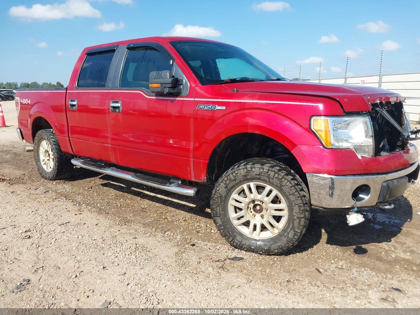 FORD F-150 FX4/HARLEY-DAVIDSON/KING RANCH/LARIAT/PLATINUM/XL/XLT