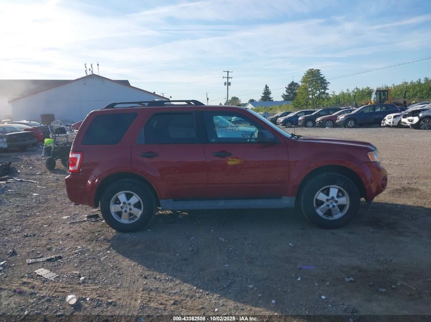 2011 Ford Escape Xlt VIN: 1FMCU0DG7BKA91098 Lot: 43362508