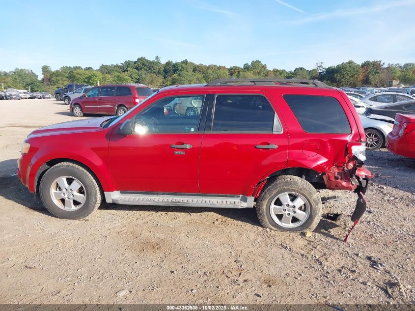 2011 Ford Escape Xlt VIN: 1FMCU0DG7BKA91098 Lot: 43362508