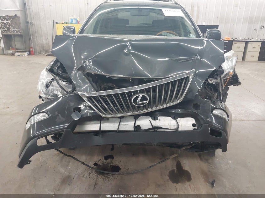 2009 Lexus Rx 350 VIN: 2T2HK31U59C128975 Lot: 43362612