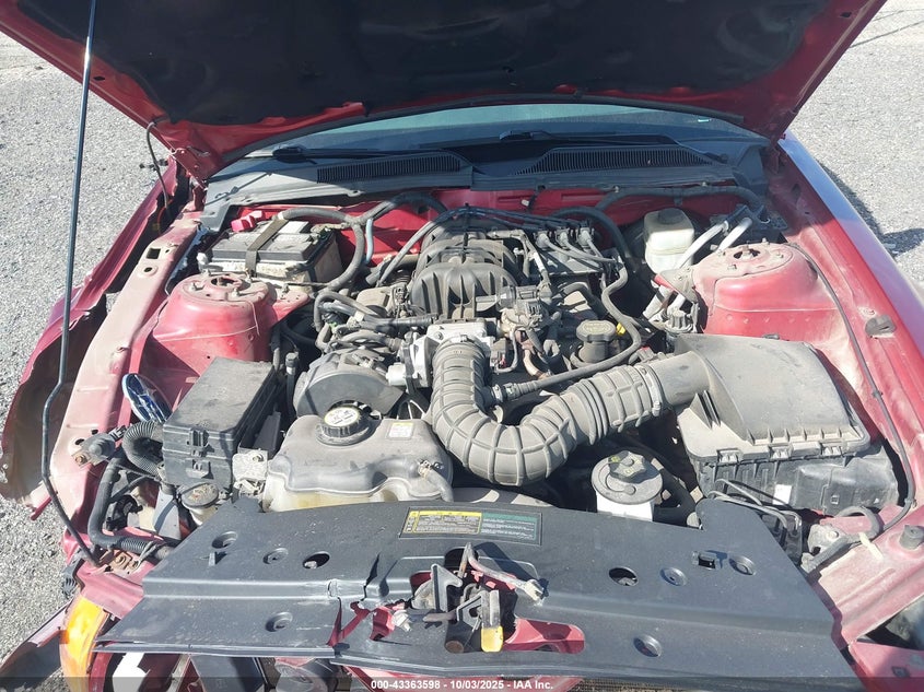 2005 Ford Mustang V6 Deluxe/V6 Premium VIN: 1ZVFT80N055117399 Lot: 43363598