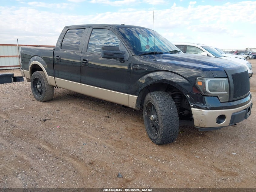 FORD F-150 FX4/HARLEY-DAVIDSON/KING RANCH/LARIAT/PLATINUM/XL/XLT