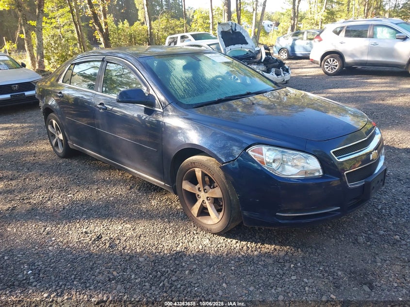 CHEVROLET MALIBU 1LT
