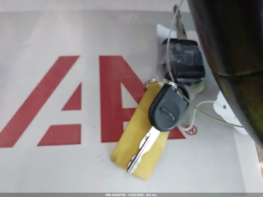 2006 Ford Freestyle Limited VIN: 1FMDK06116GA41972 Lot: 43363795