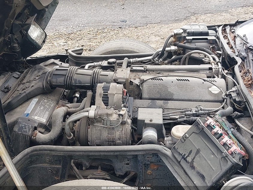 1993 Chevrolet Corvette VIN: 1G1YY23P0P5107295 Lot: 43363909