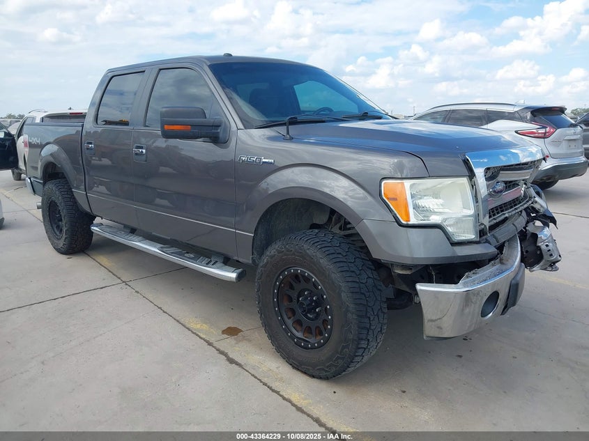 FORD F-150 XLT