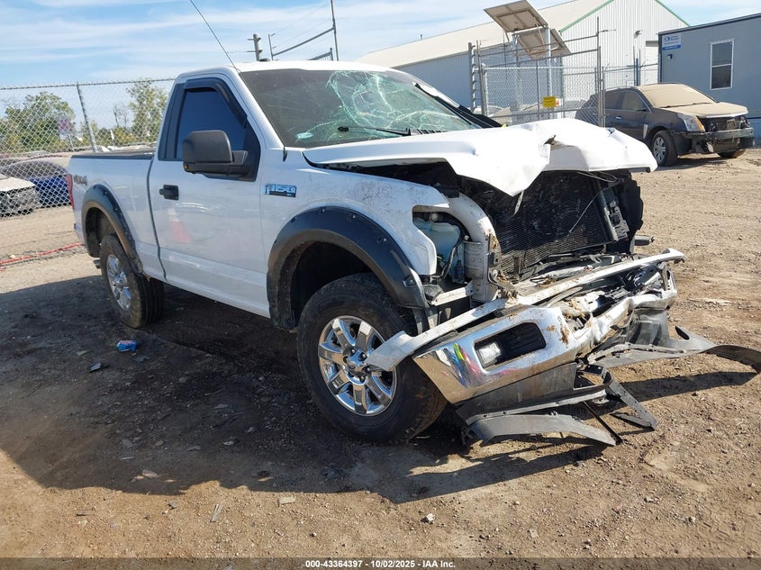 2019 FORD F-150 XL - 1FTMF1EP2KKC58829