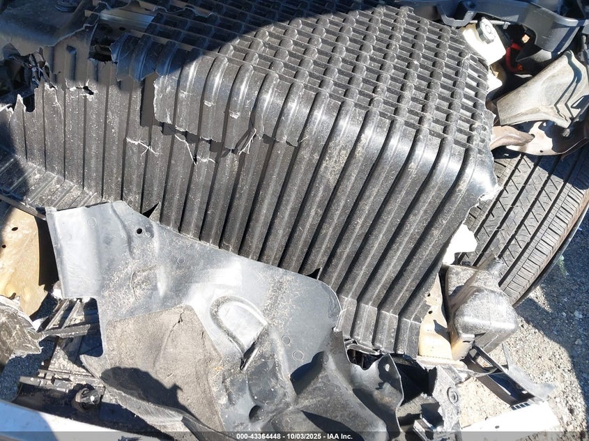 2023 Tesla Model X Dual Motor All-Wheel Drive/Standard Range VIN: 7SAXCBE53PF381282 Lot: 43364448