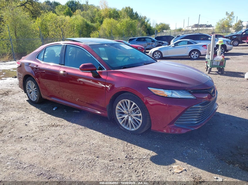TOYOTA CAMRY XLE V6