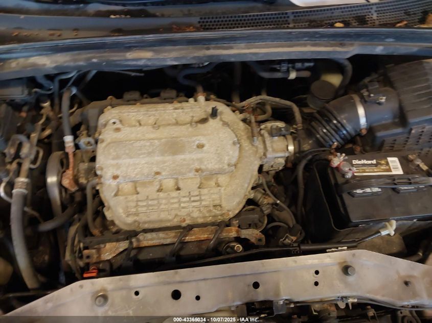 2007 Honda Odyssey Ex VIN: 5FNRL38407B073940 Lot: 43365034